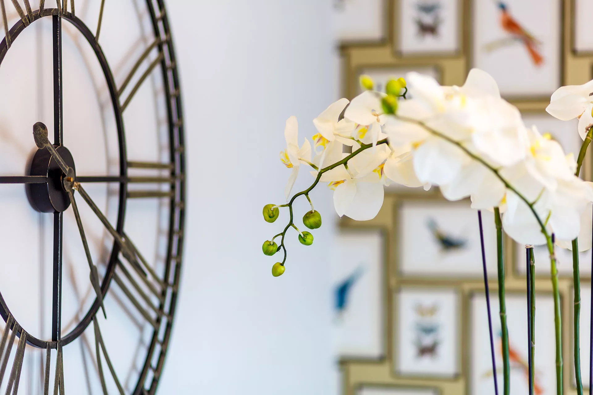 Medstead, Hampshire interior design project by Dandy Designs Ltd